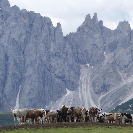 Appartamento Mariuccia Dosoledo Esterno foto